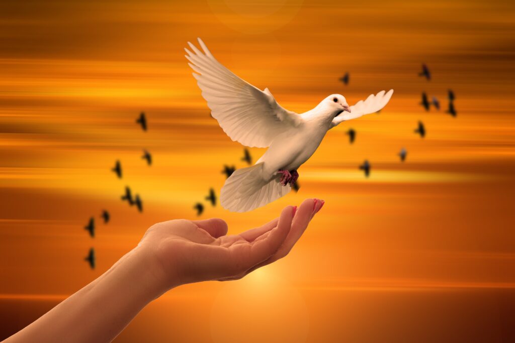 Dove background